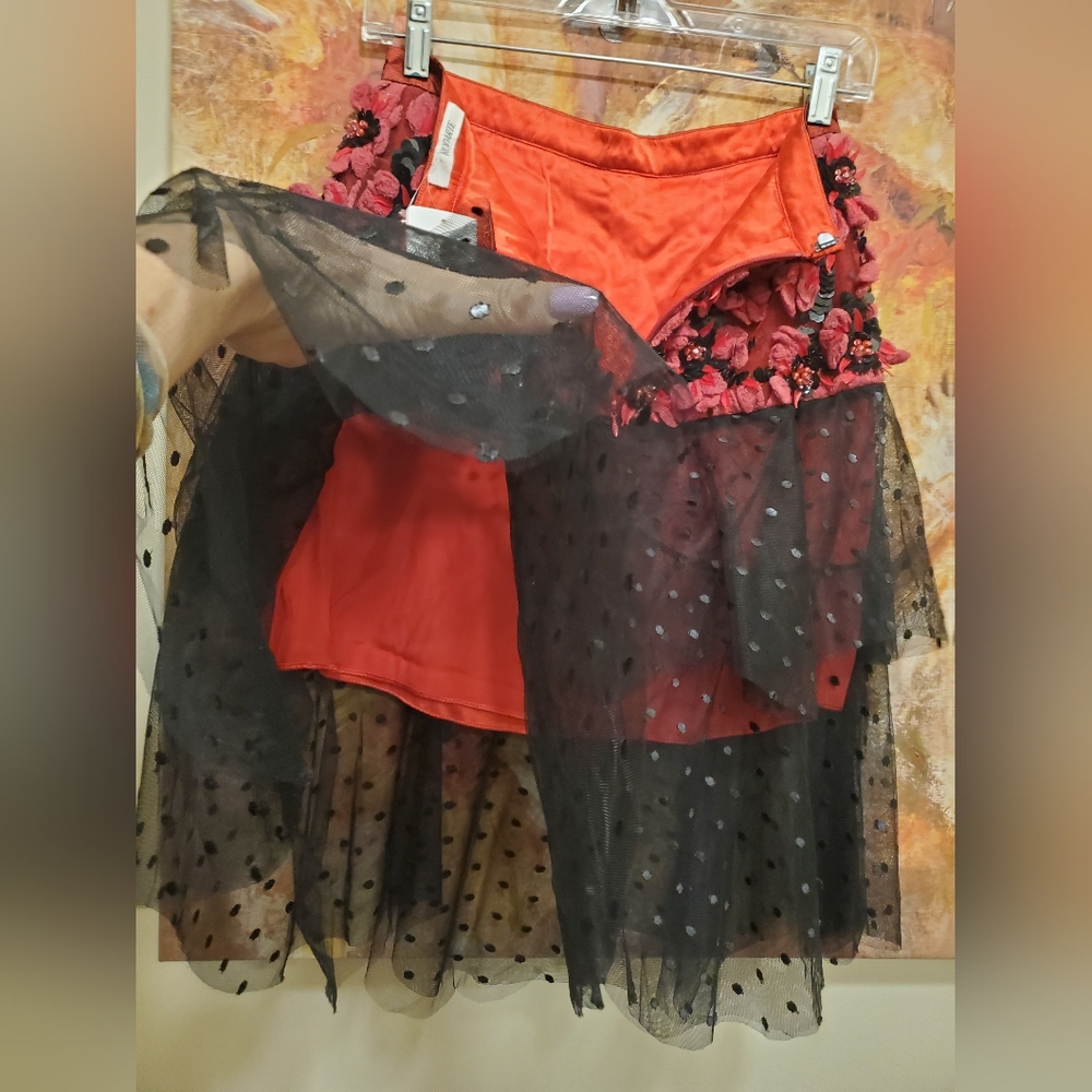 NWT $2690 sz 6 Rodarte Poinsetta embroidered layered tulle skirt with beads - Picture 7 of 7